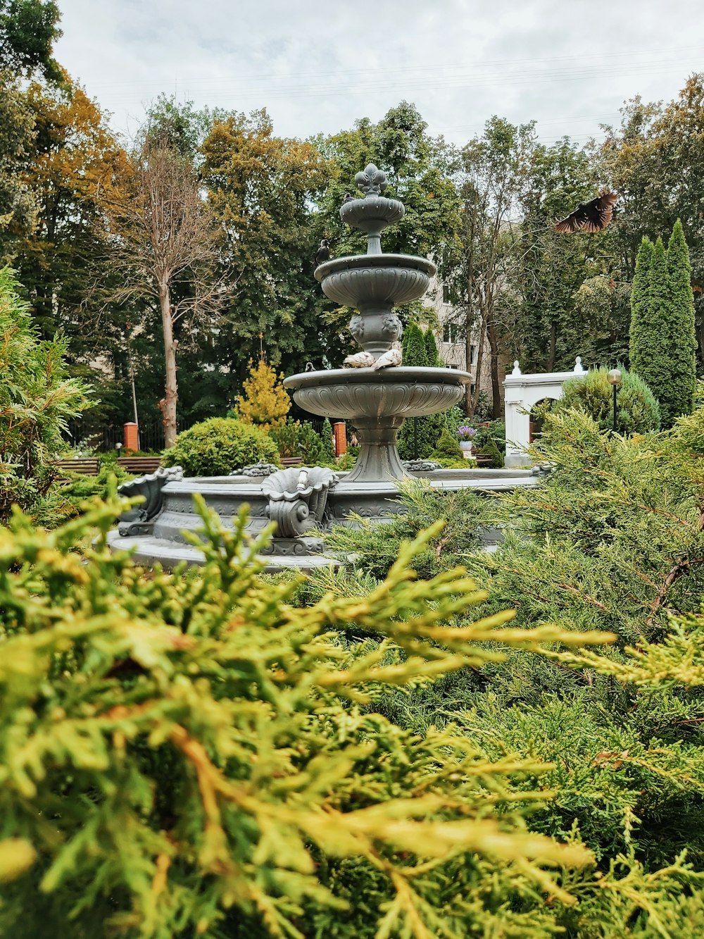 green plants and trees with water fountain