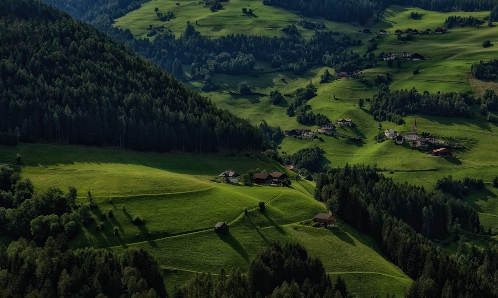 green grass field and trees during daytime