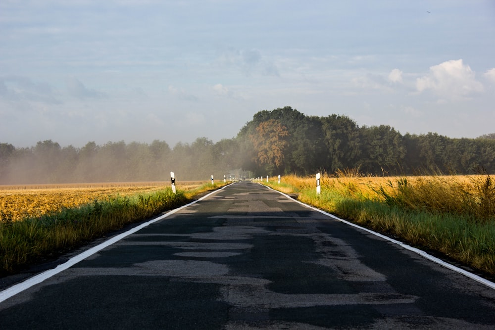 gray concrete road between green grass field under white sky during daytime