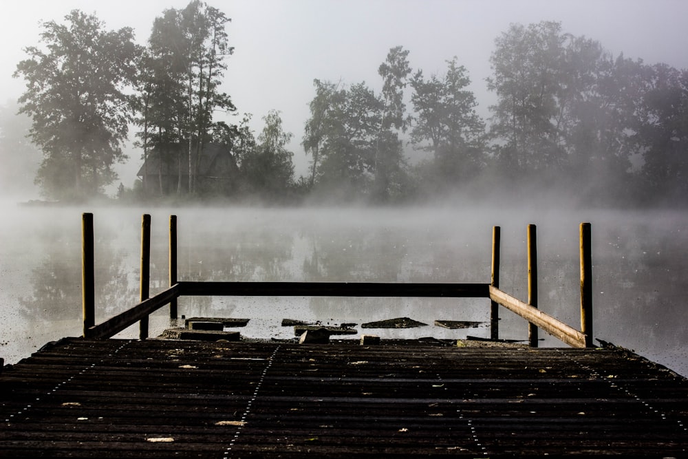 brown wooden dock on lake during daytime