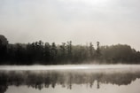 A serene nature scene with morning mist over a quiet lake.
