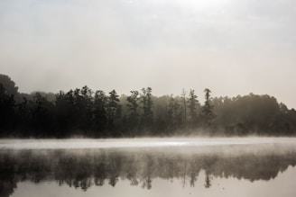 A serene nature scene featuring morning mist over a quiet lake.