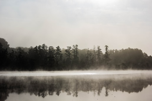 A serene morning mist over a quiet lake, soft light filtering through tall trees.