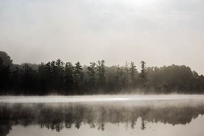 A serene nature scene with morning mist over a quiet lake.