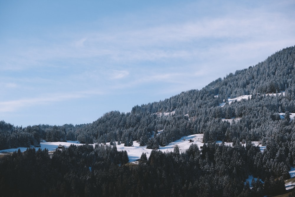 white and black houses near green trees and mountain under blue sky during daytime