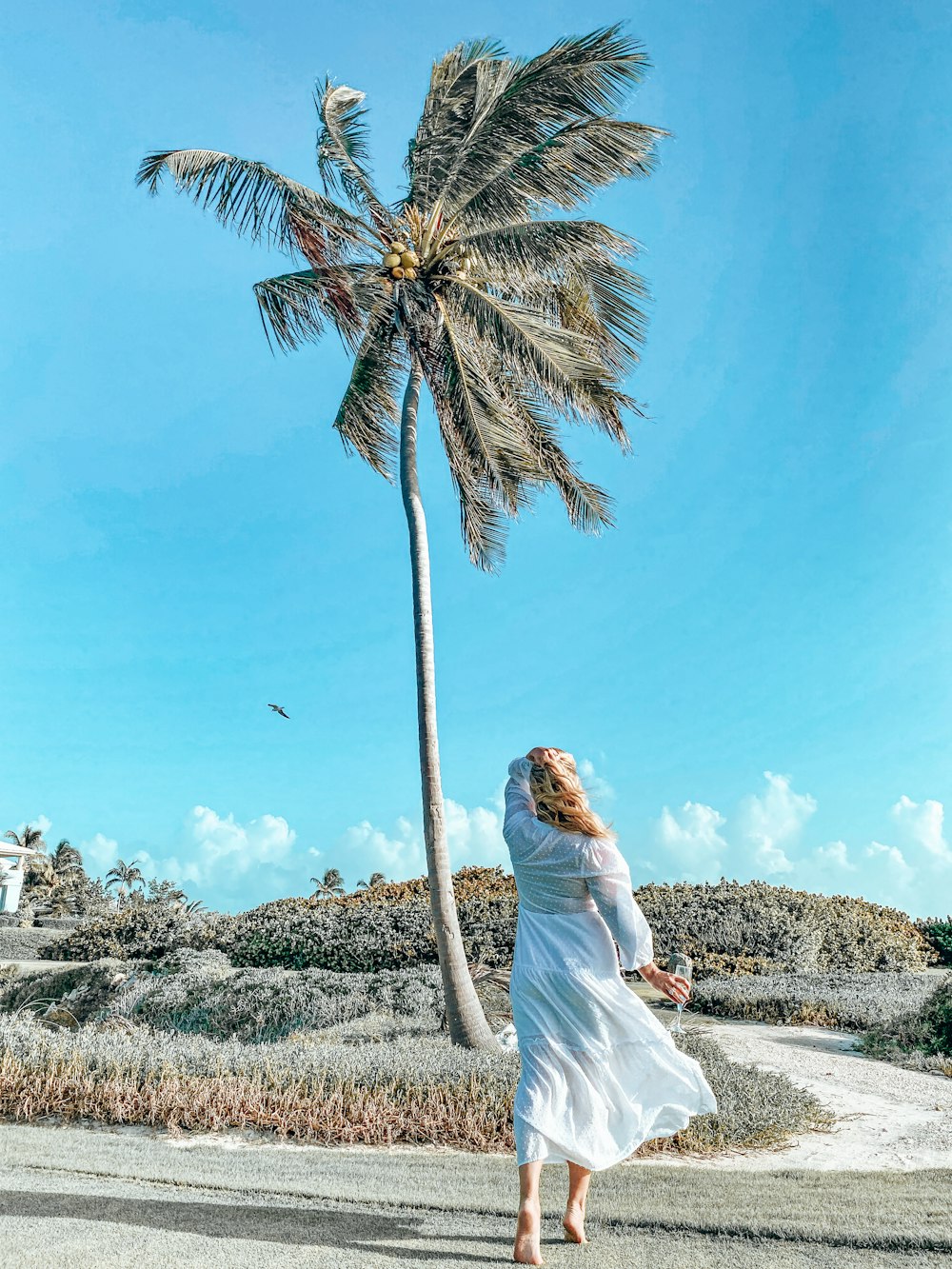 Mujer en vestido blanco de pie cerca de la palmera durante el día