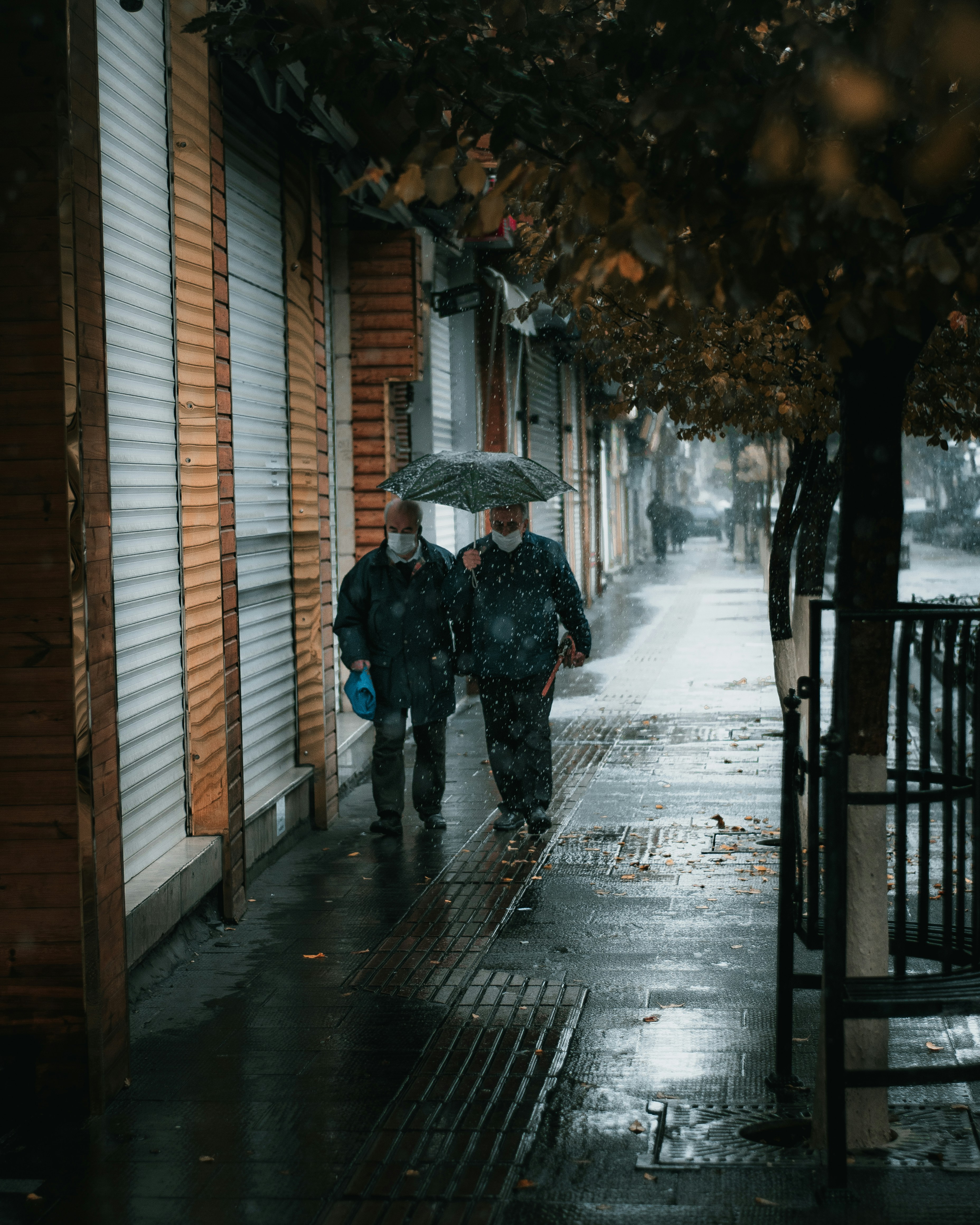 Photo by m_amirahmadi