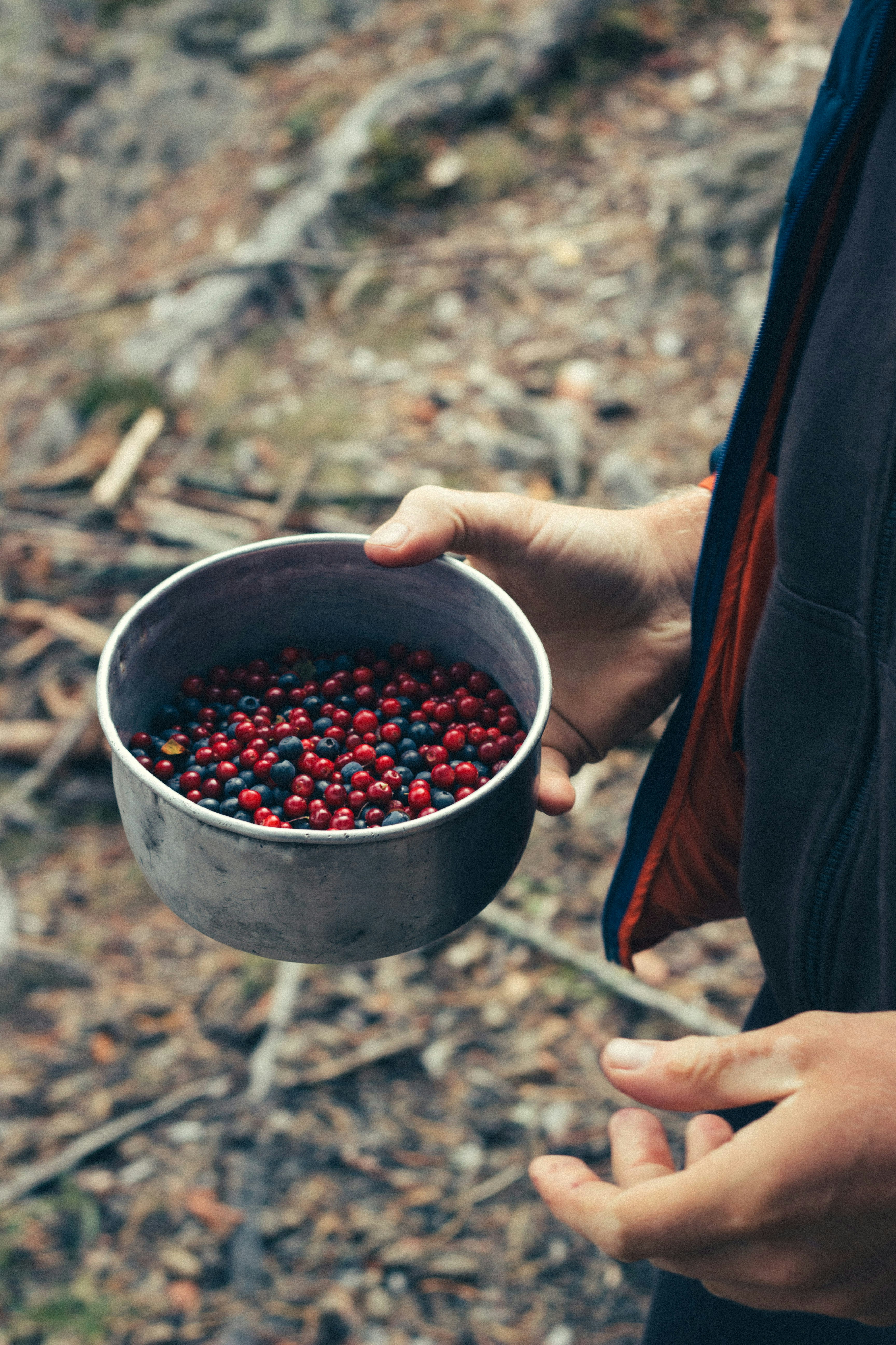 personne tenant une tasse en acier inoxydable avec des fruits ronds rouges
