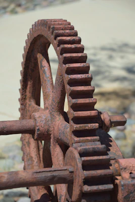 Close-up of durable rotavator gears arranged on a rustic wooden table.