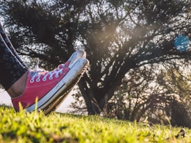 A pair of pink canvas sneakers is positioned on the grass, with the shoes facing upward. The background consists of a large tree with a thick canopy of leaves, allowing sunlight to filter through, creating a soft glow and lens flare. The scene conveys an outdoor setting, possibly a park or a garden, with a relaxed and laid-back atmosphere.