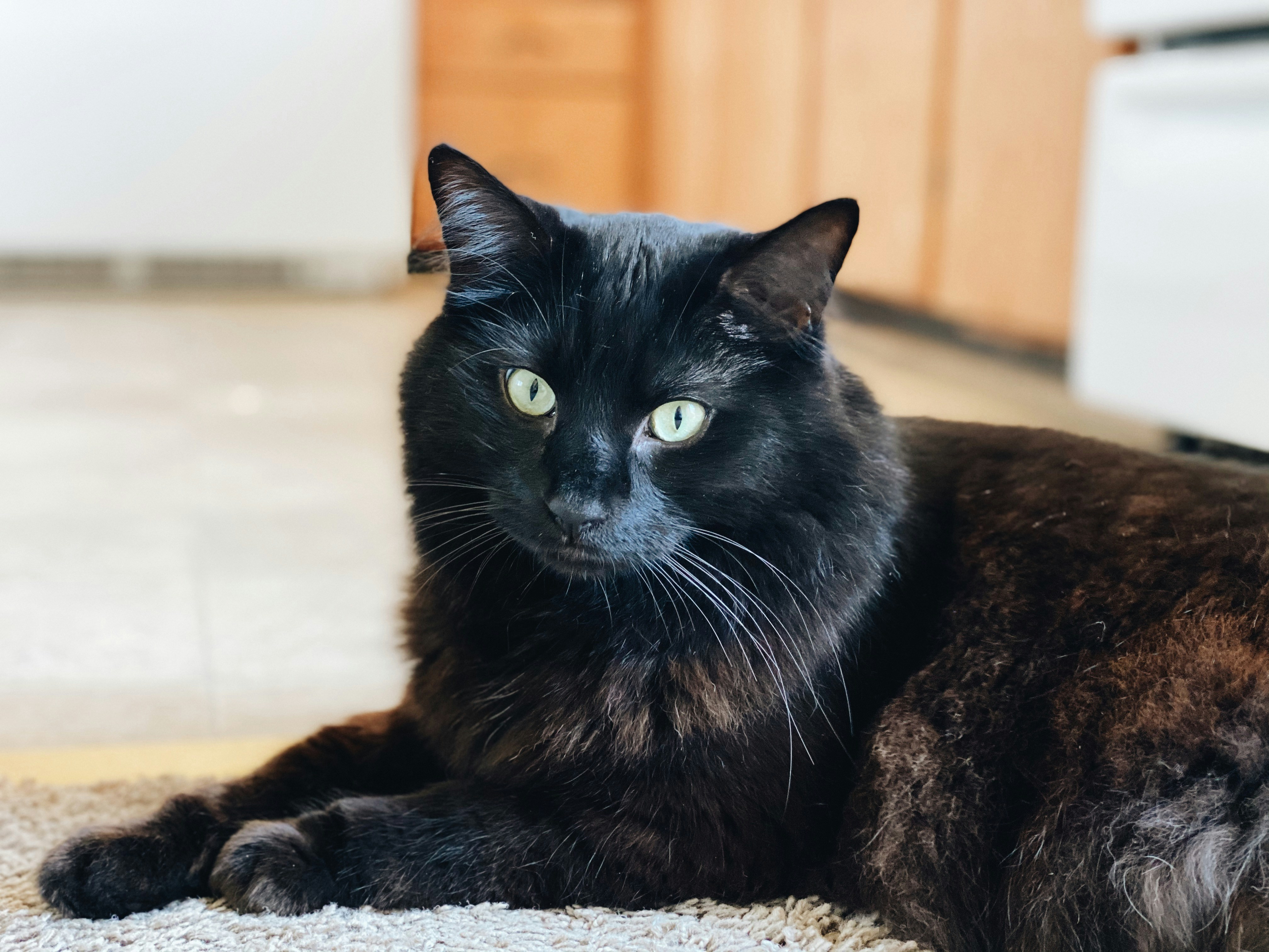 The Kitchen Helper (image credits: unsplash)