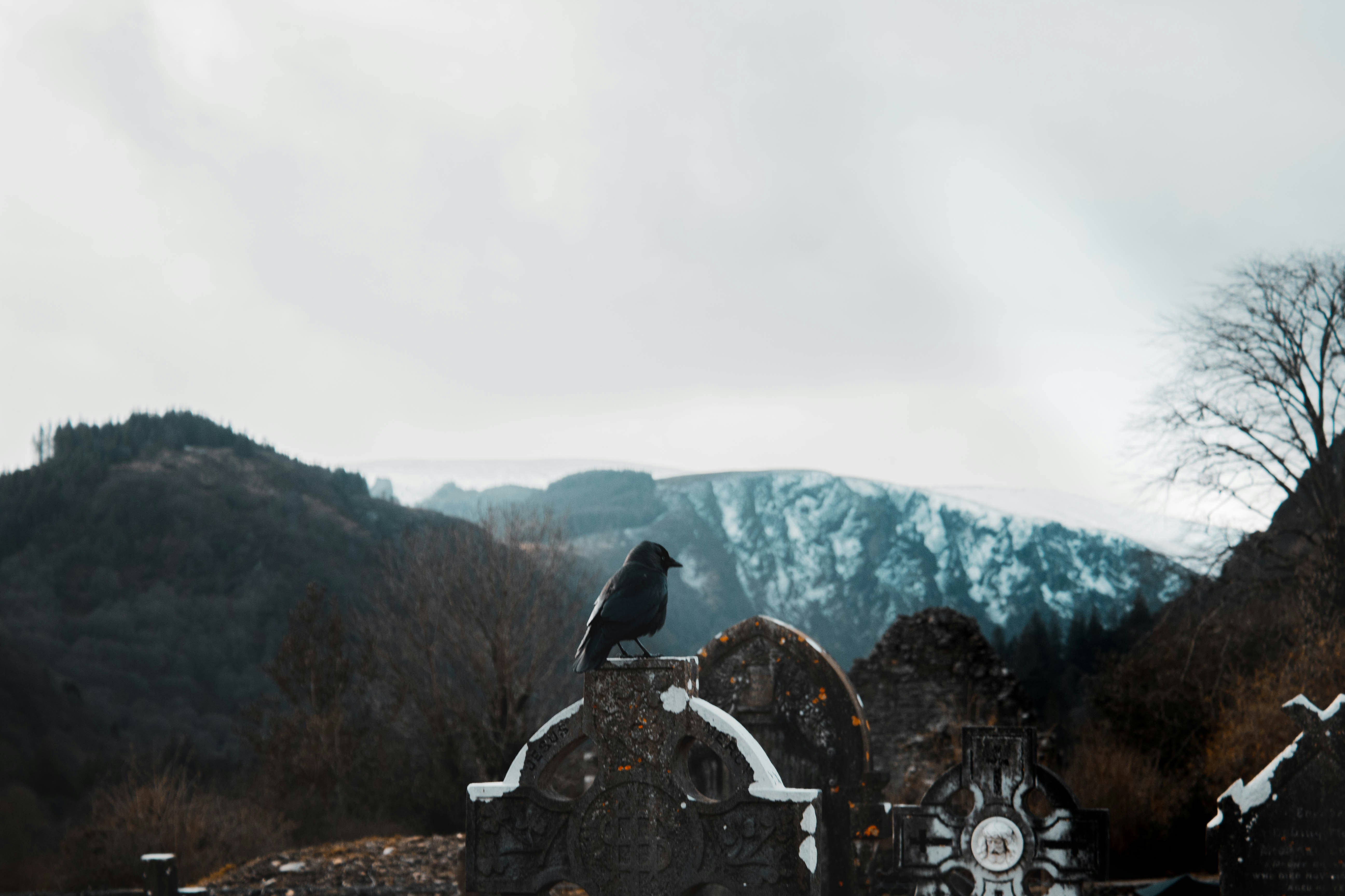 Photo by ben_rosefish