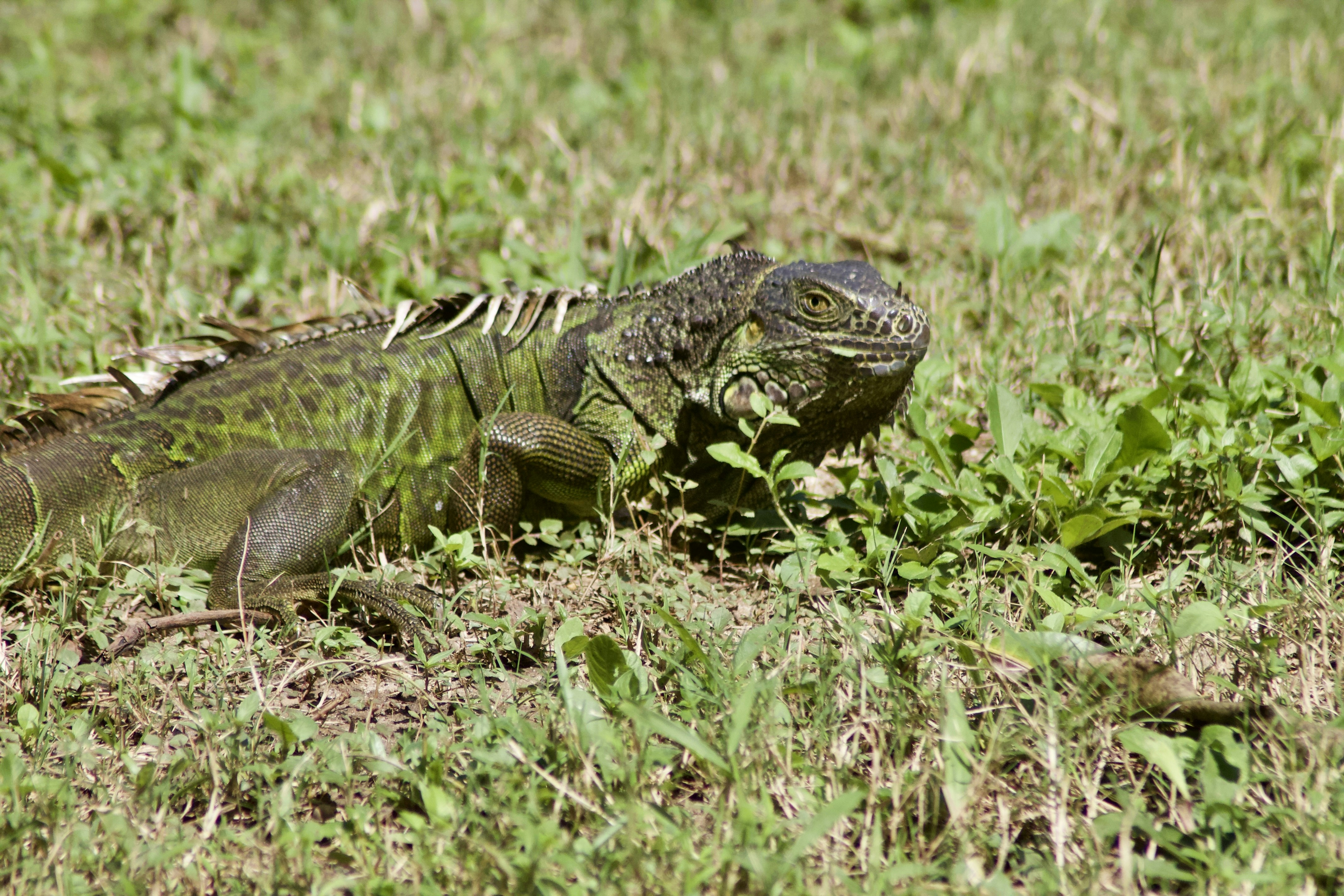 Photo by alexphotographers