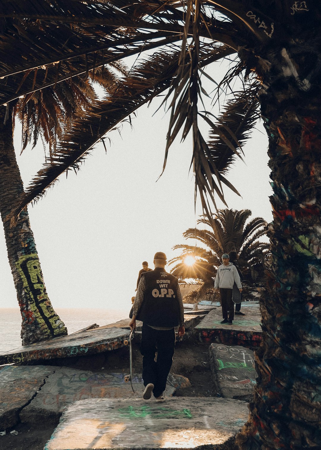 man and woman standing on concrete dock near palm tree during daytime