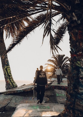 A group of people are skateboarding and walking on a graffitied concrete surface near the beach, surrounded by palm trees, during sunset. One person is holding a skateboard, and the sunlight is peeping through the trees, creating a warm, relaxed atmosphere.