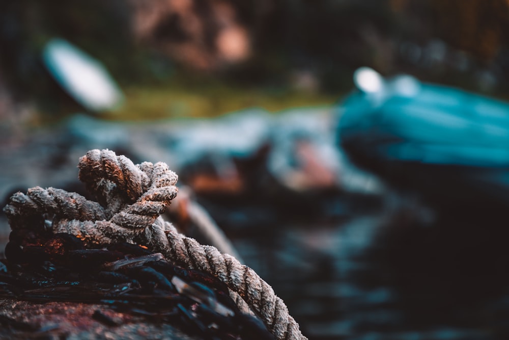 brown rope on body of water