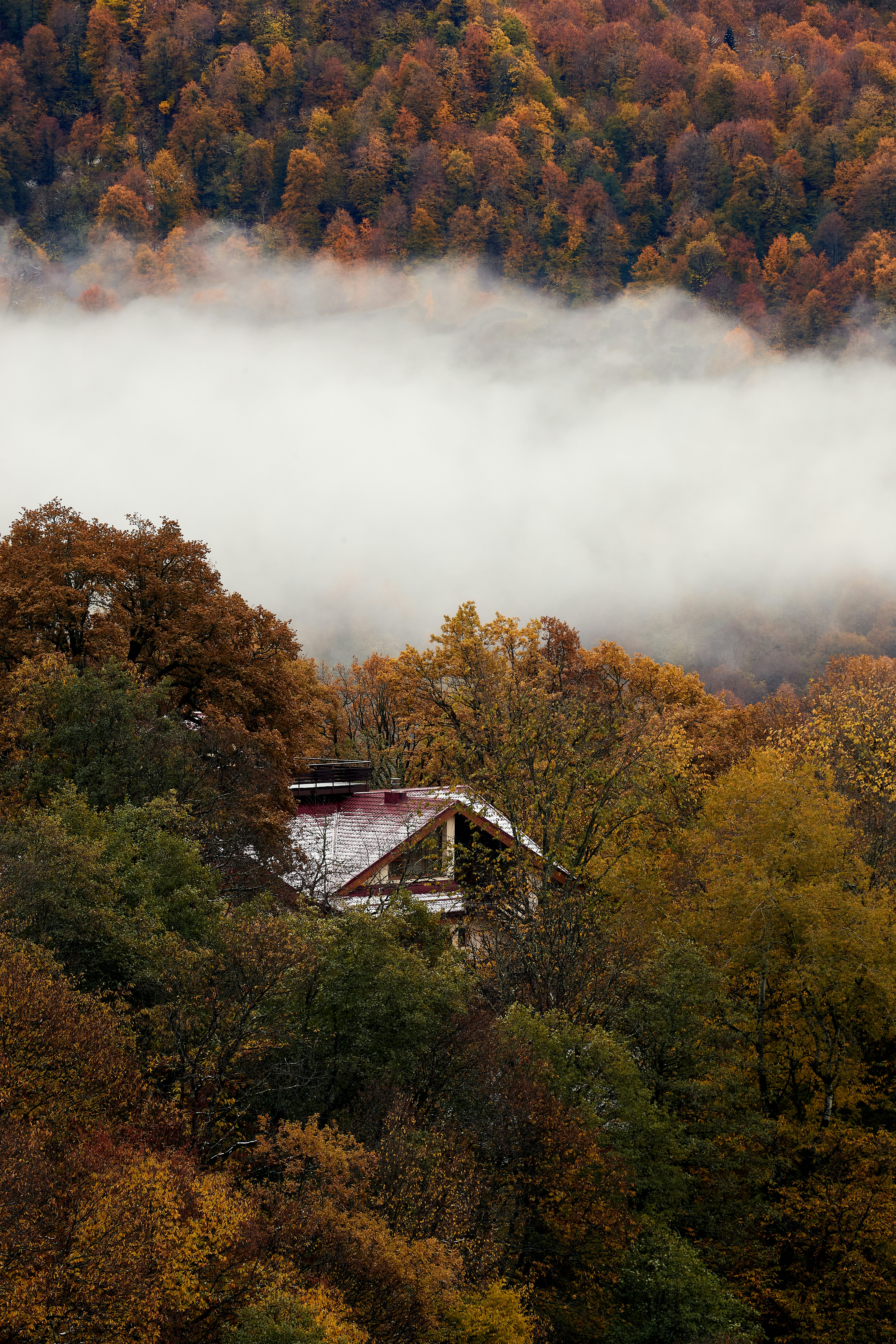 Photo by dobrynin_nikita