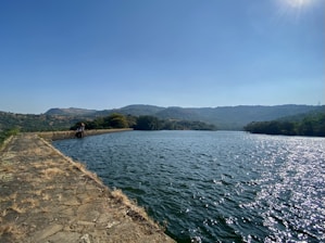 body of water near green trees during daytime