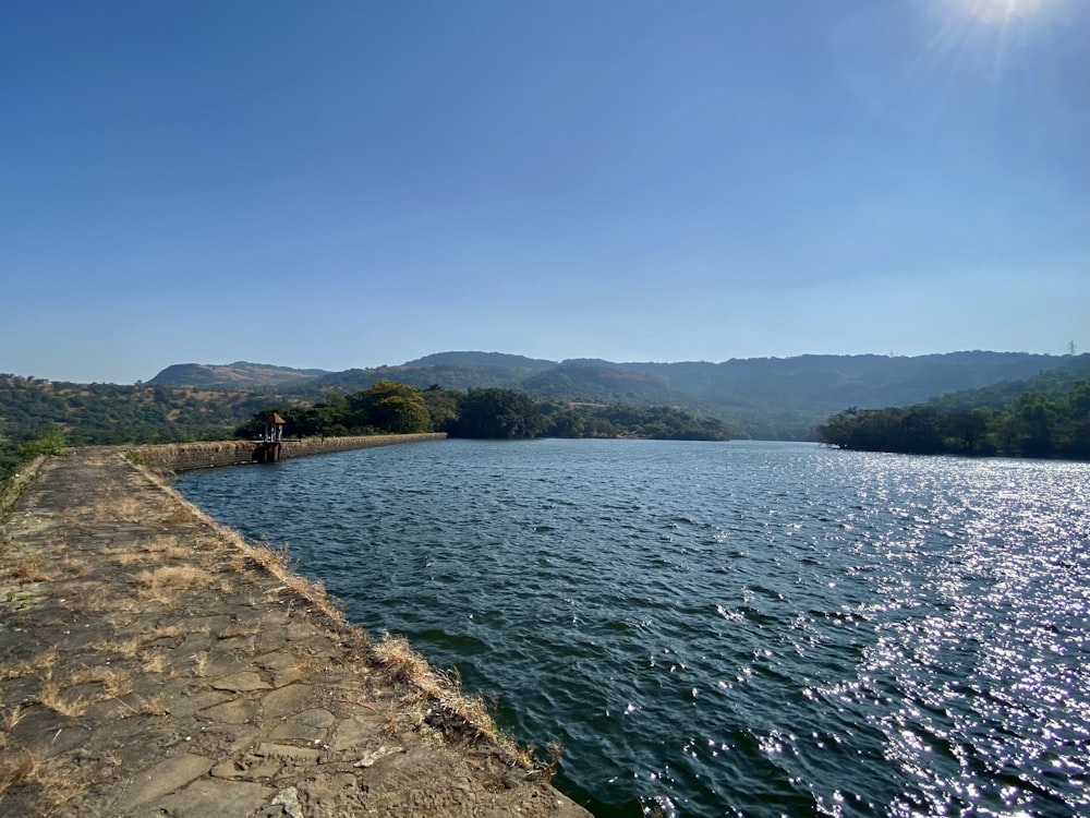 corpo de água perto de árvores verdes durante o dia