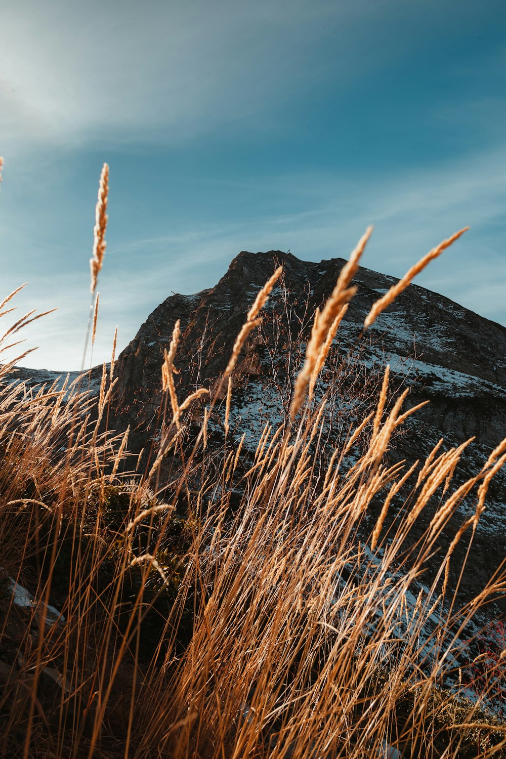 brown grass near brown mountain under blue sky during daytime