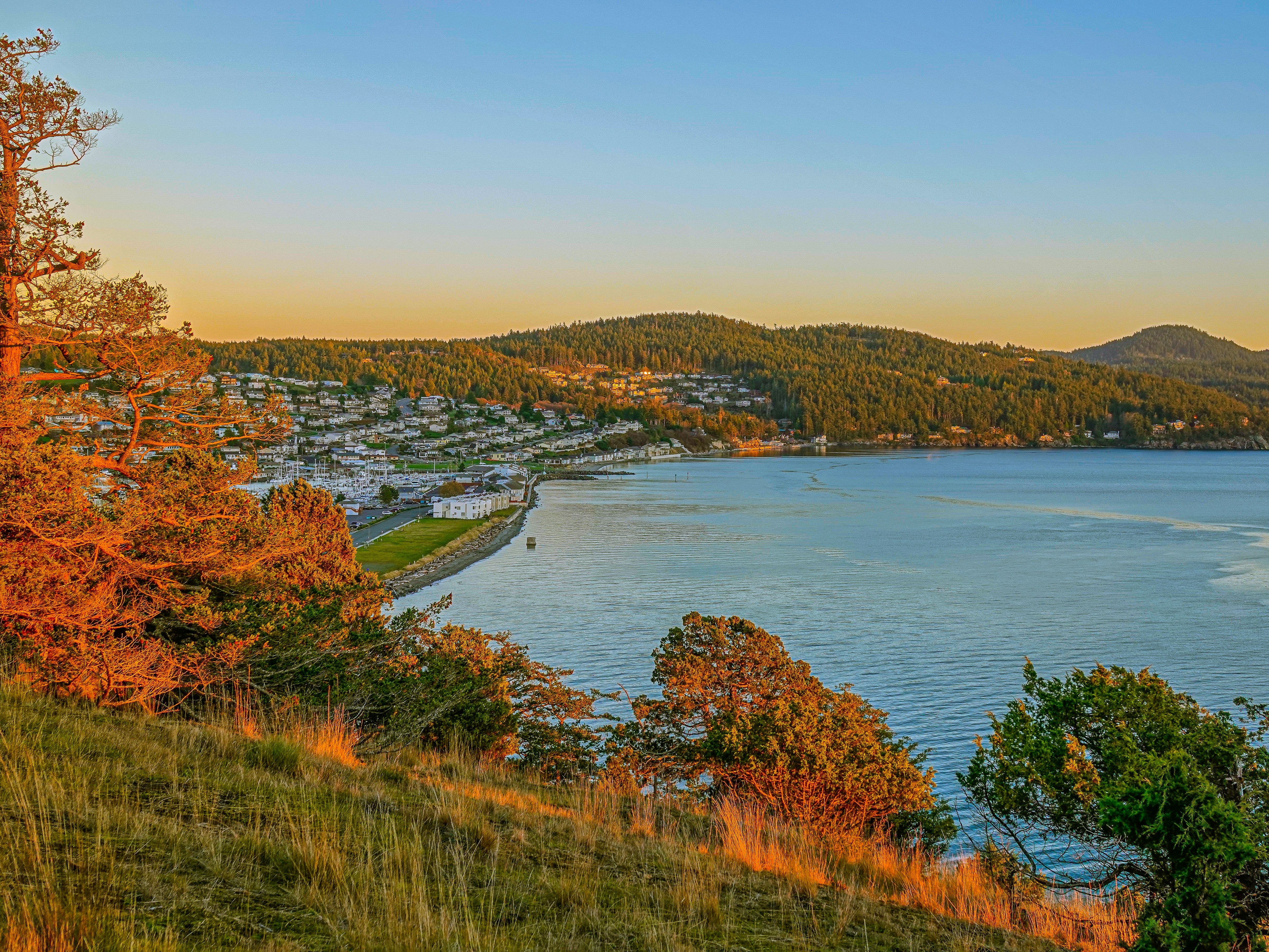 Photo by pavlpolo_official