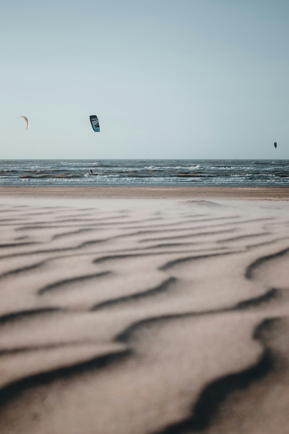 people on beach during daytime