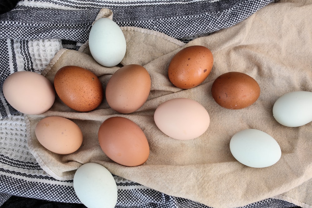 brown egg on white textile