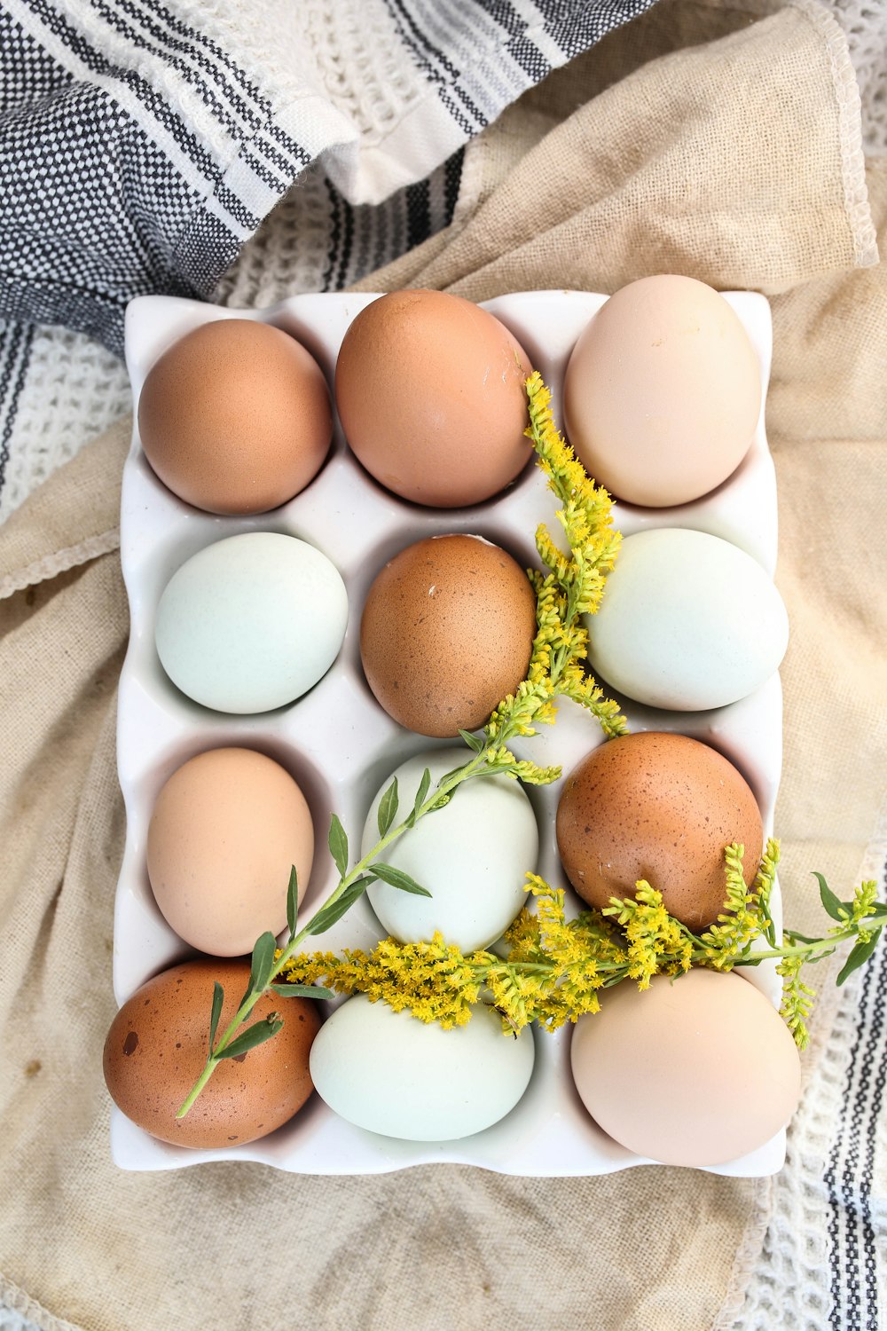 갈색 계란 쟁반에 흰 계란