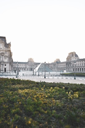A view of the Louvre Museum featuring the glass pyramid in the center. The surrounding classical architecture contrasts with the modern design of the pyramid. In the foreground, there is a neatly trimmed garden with various plants.