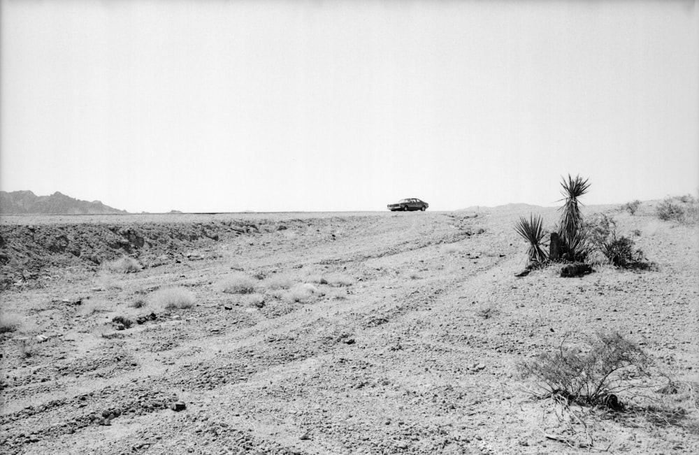 grayscale photo of car on desert