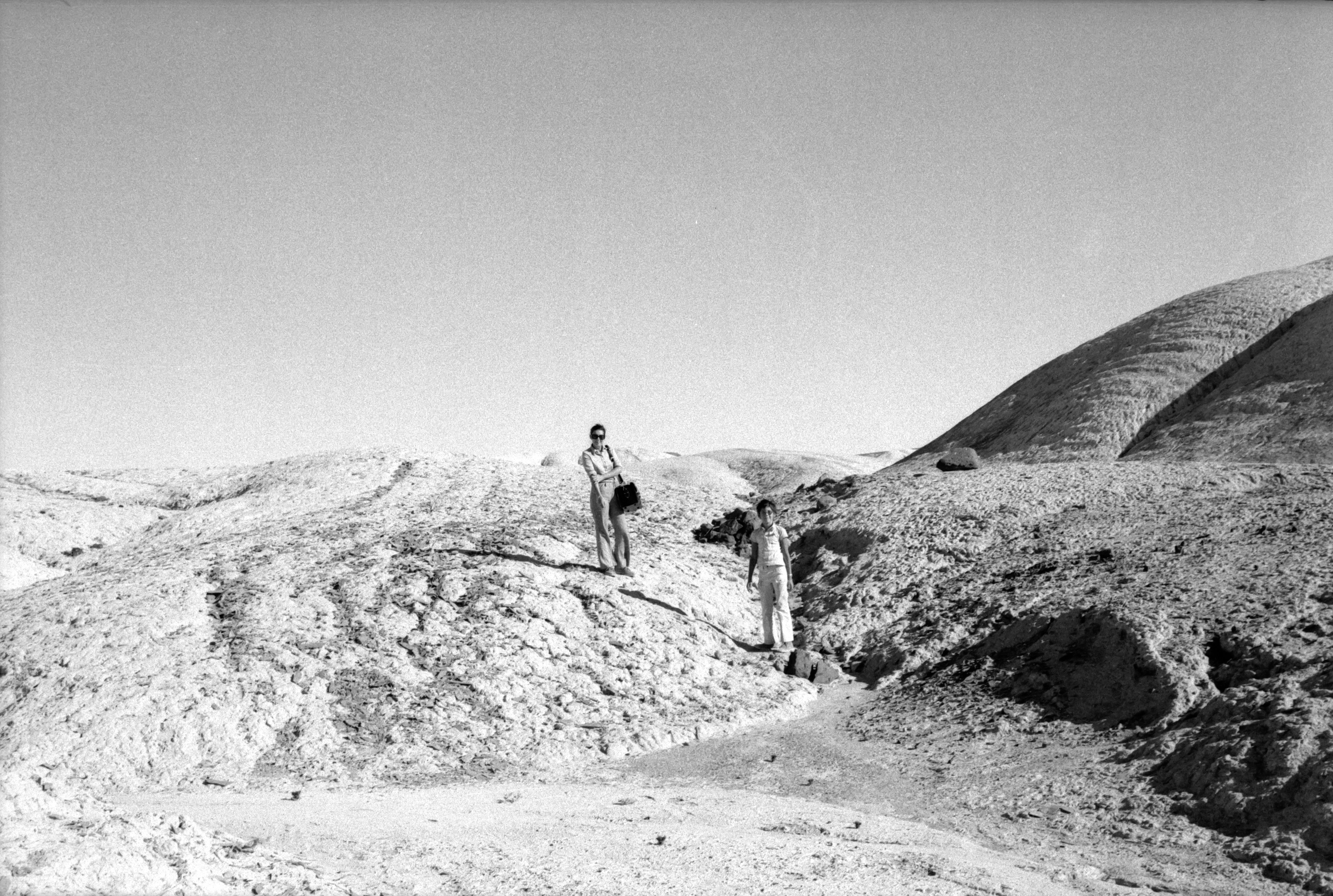 Photo by stefano_zocca