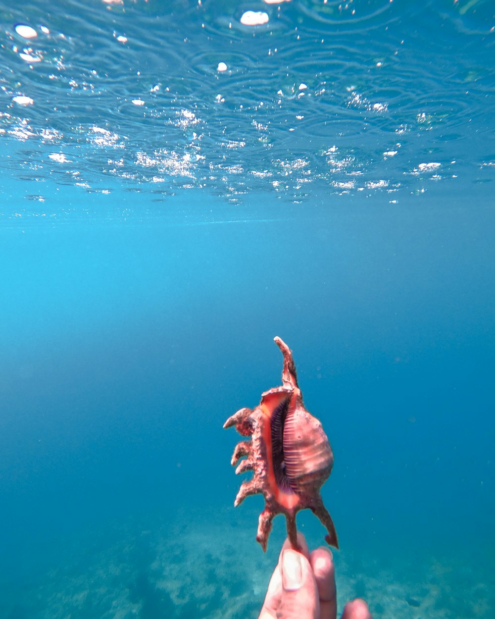 person in body of water