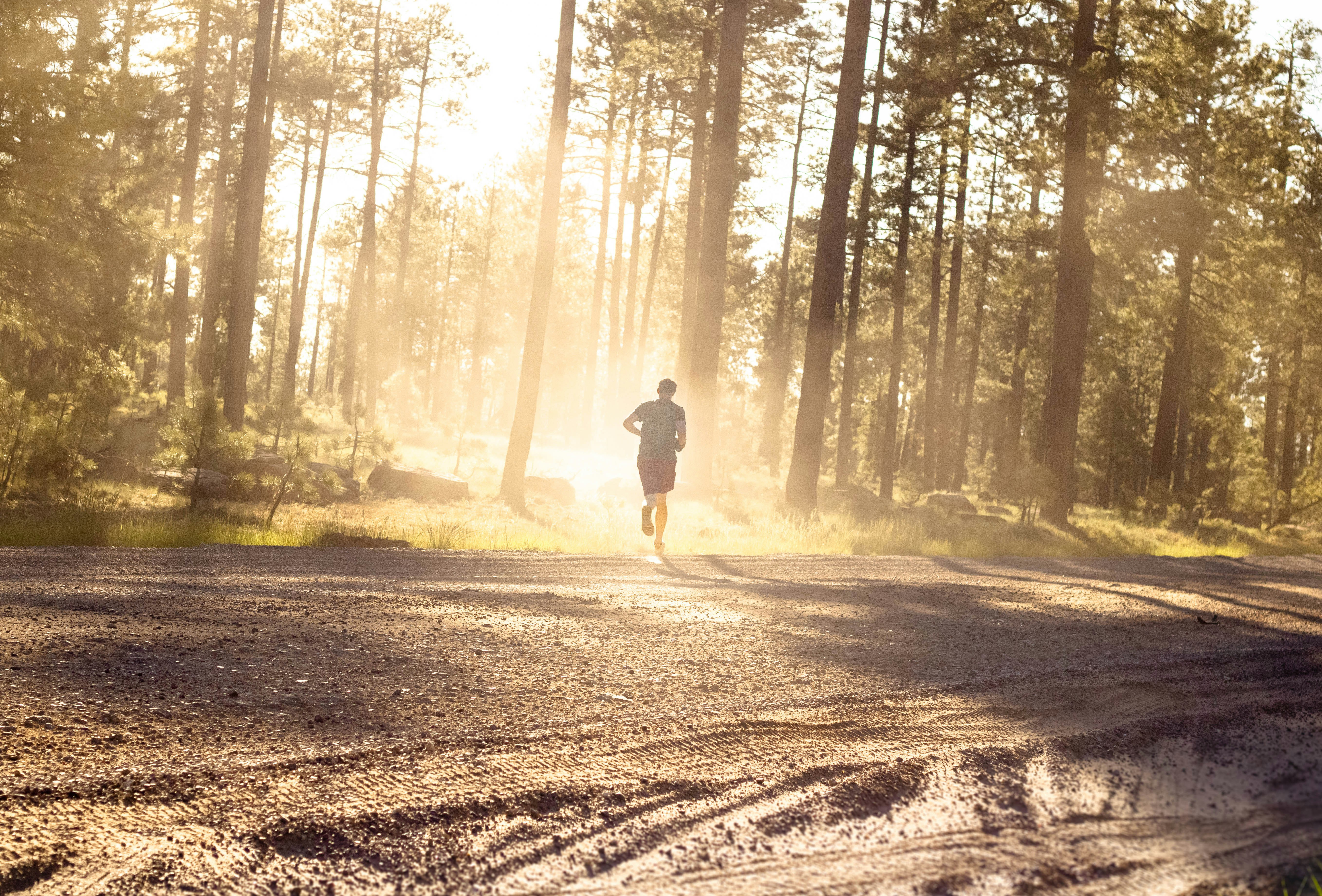 Photo by jeffersonsees