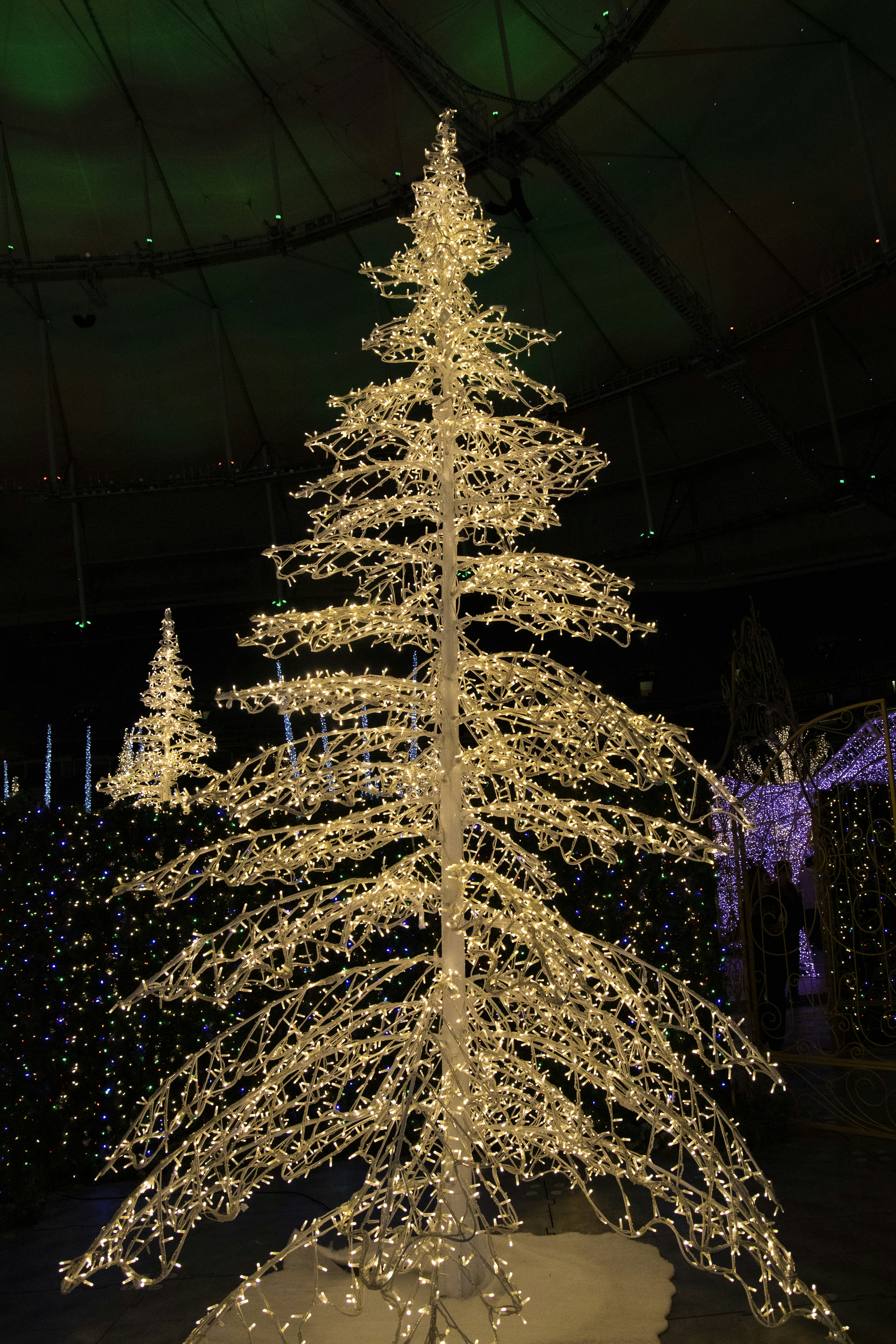 Photo by rocinante_11