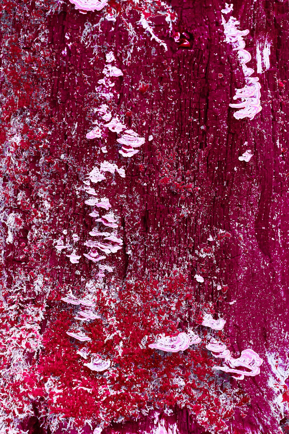 red and white abstract painting