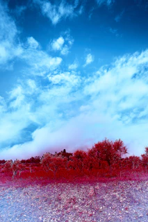 Before-and-after comparison showing the impact of a premium preset on a landscape photo.