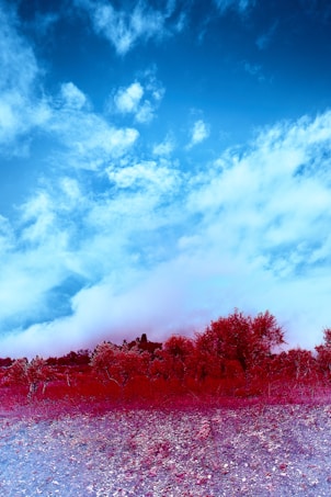 The image features a landscape with a dramatic contrast between a deep red foreground and vibrant blue sky. Trees and vegetation are rendered in shades of red, while the sky is filled with scattered white clouds, suggesting a surreal or digitally altered scene.