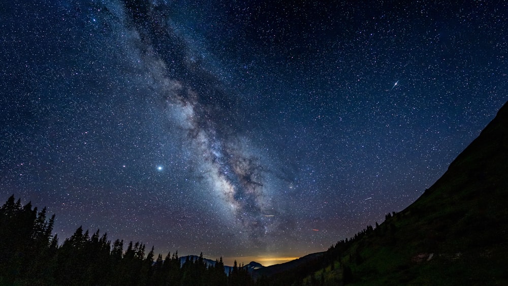 silhouette of trees under blue sky with stars during night time