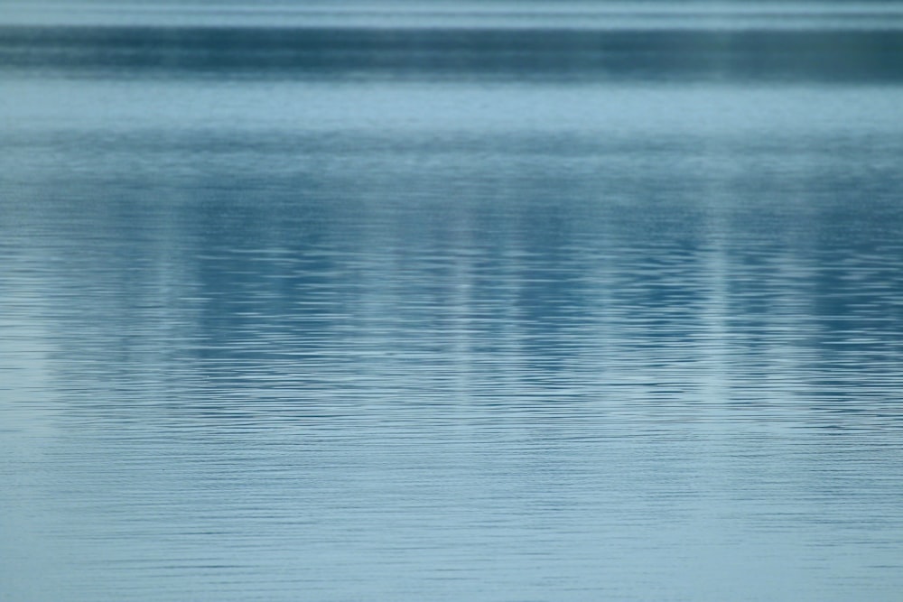 calm water during day time