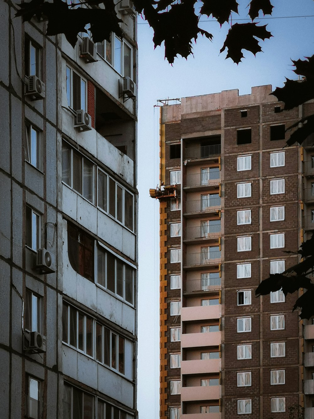 black bird on brown wooden bird cage