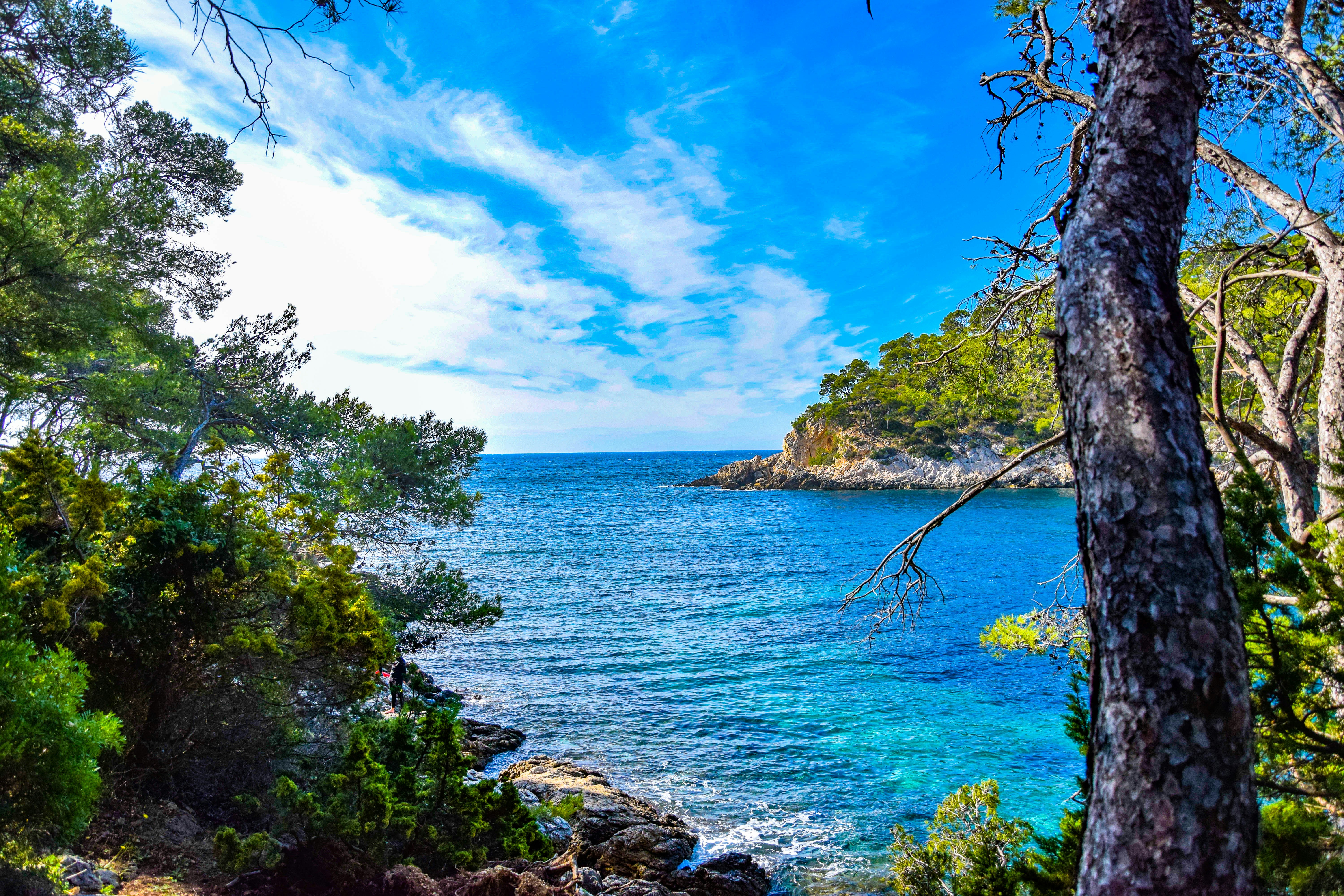 Green trees near body of water under blue sky during daytime photo