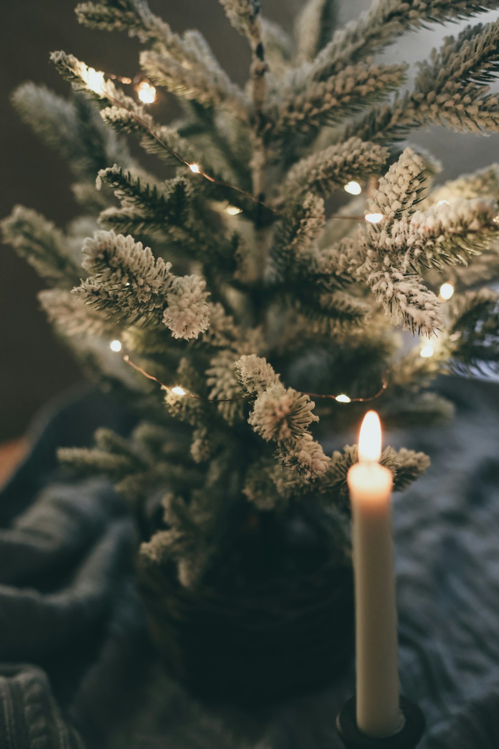 white candle on brown tree