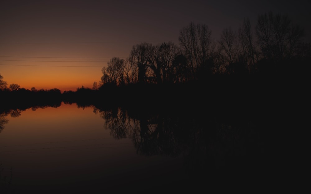 日没時の水域付近の木々のシルエット