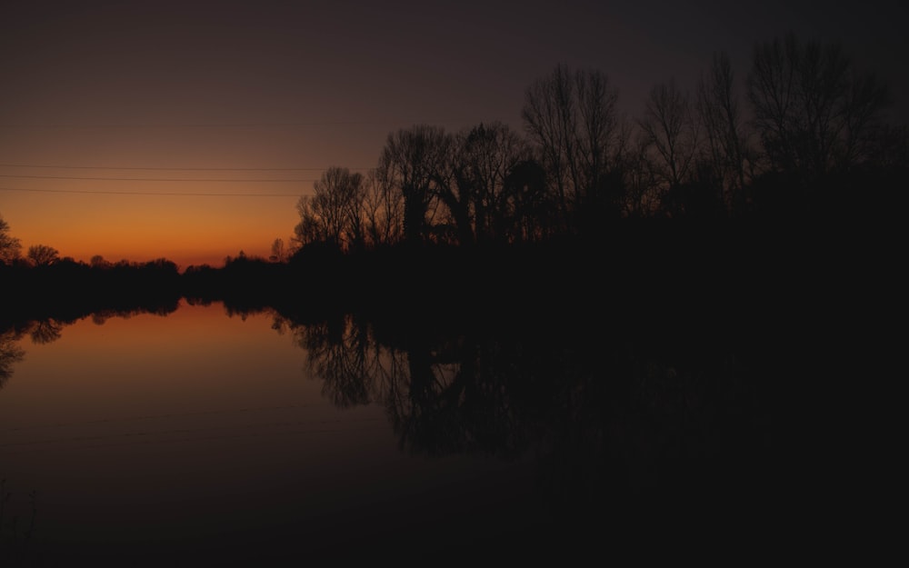 silhouette of trees near body of water during sunset