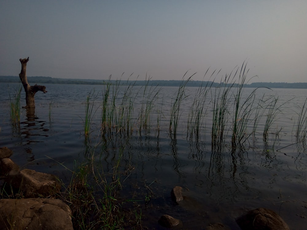 body of water under gray sky