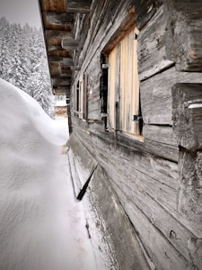 Wool Insulation Panel