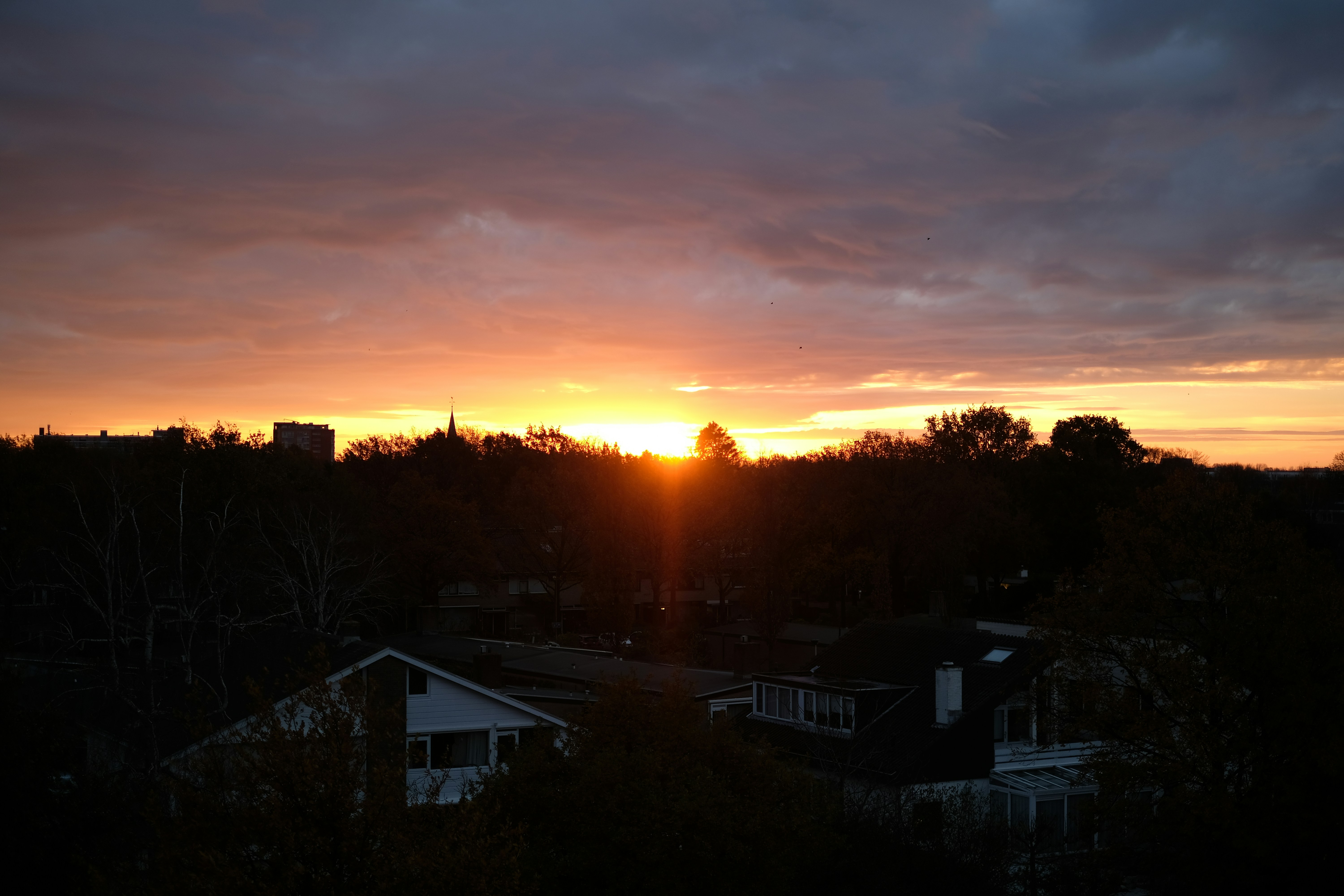 houses near trees during sunset