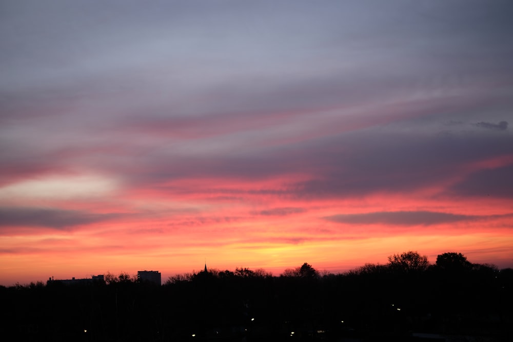 silhouette of trees during sunset