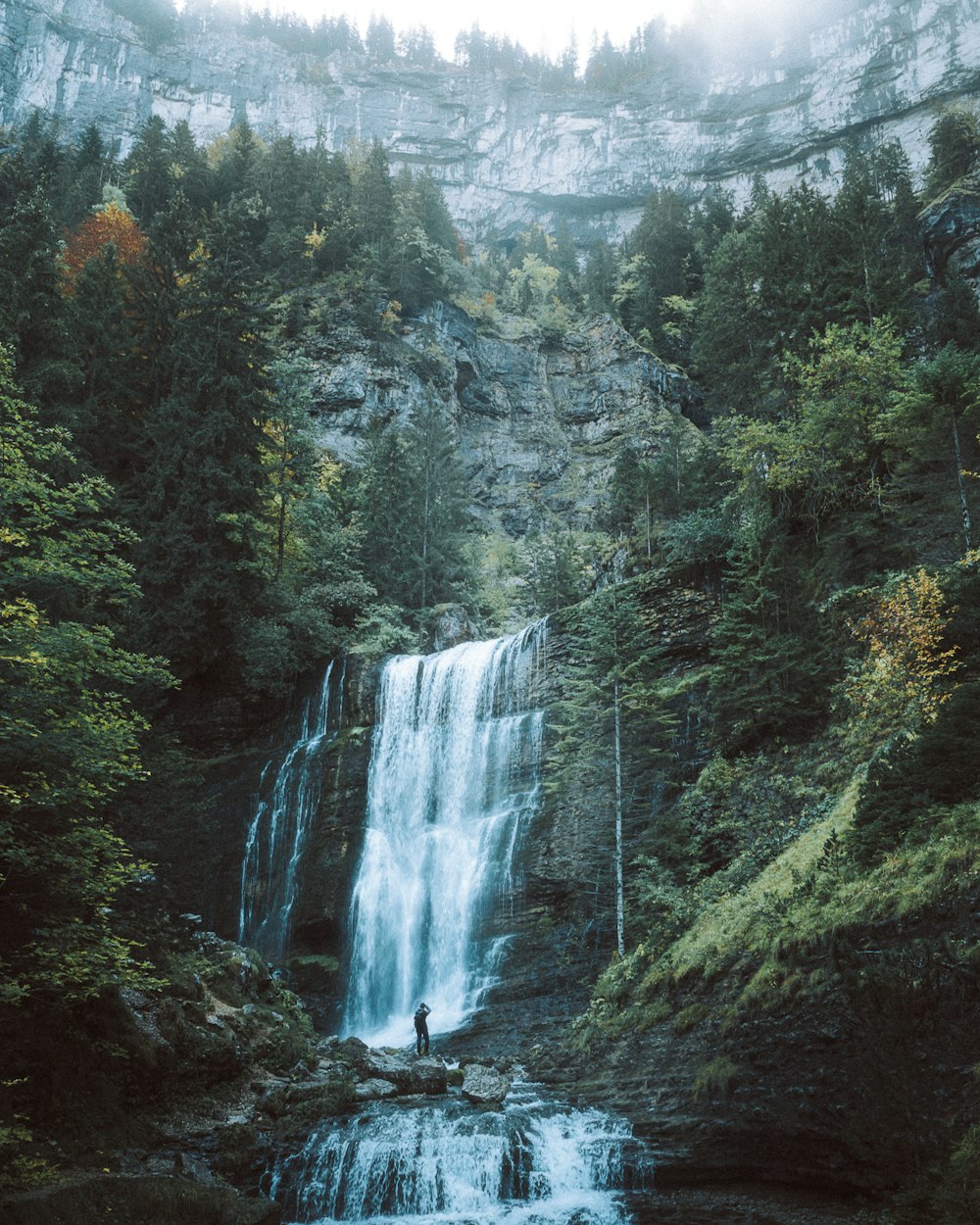 waterfalls in the middle of forest during daytime