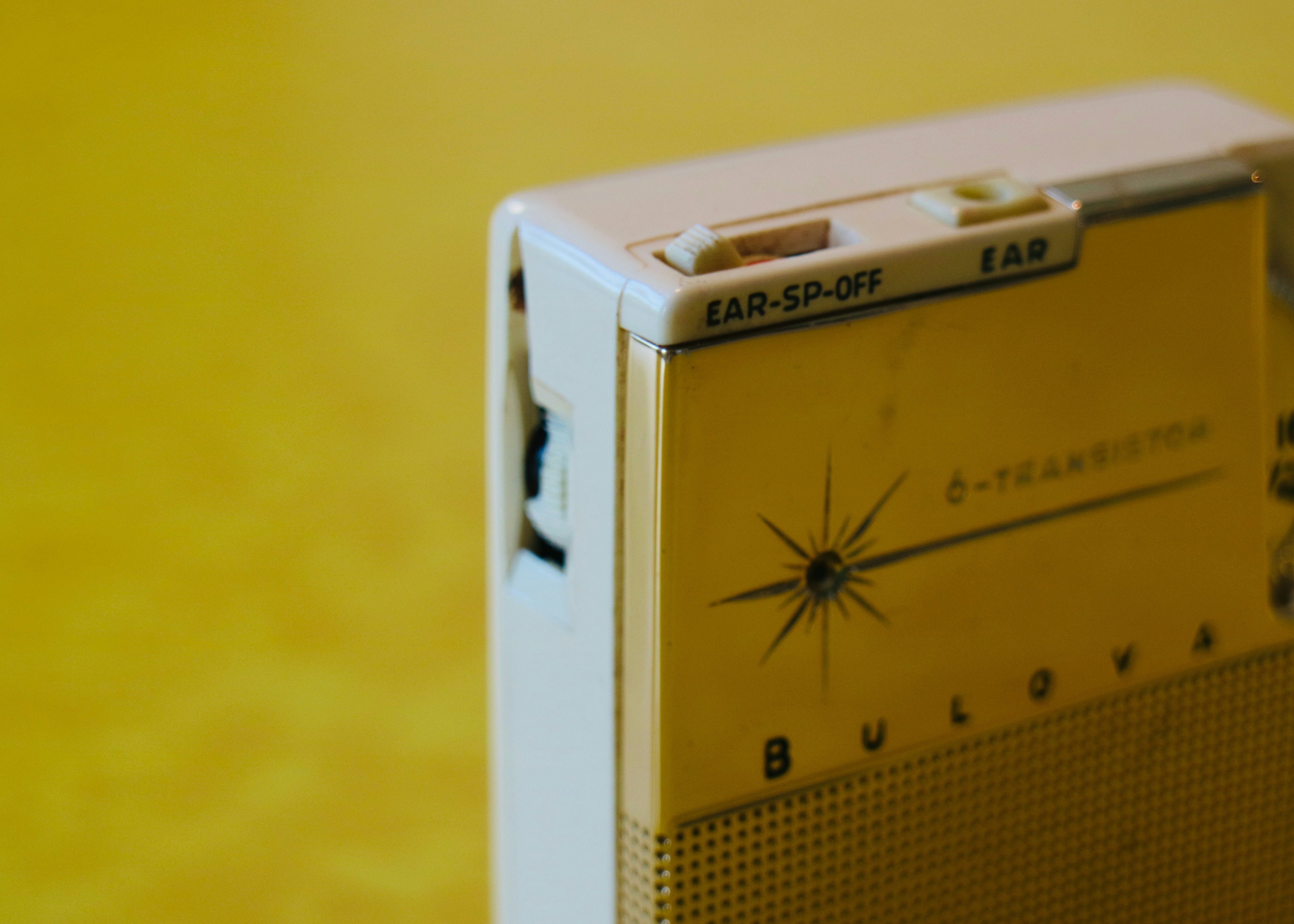 Photo by goodfindsvolusia